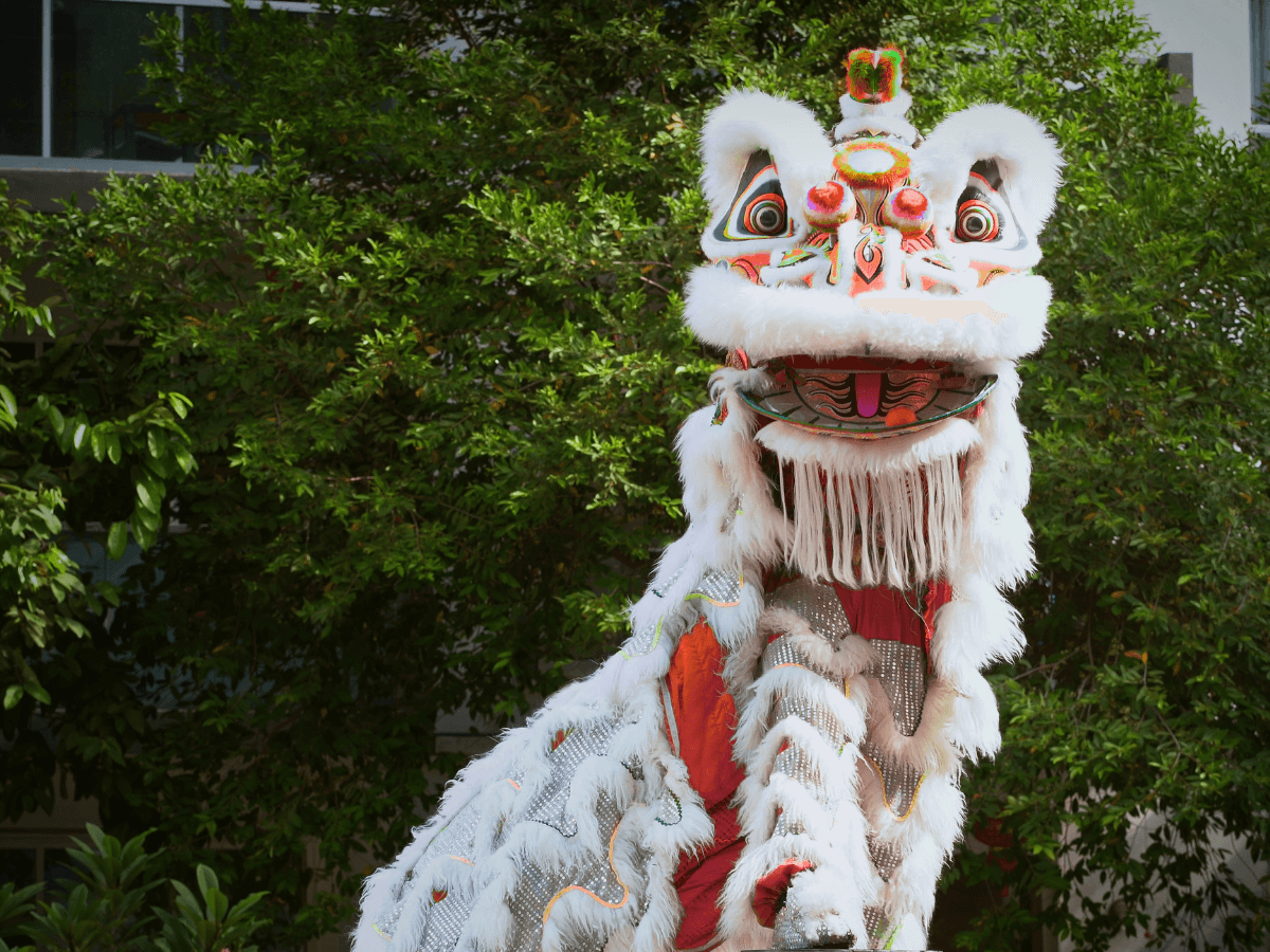 Cultural Performances